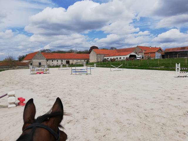 Haras des cosmiques