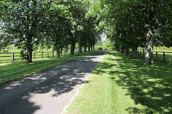 Haras 63 ha - région argentan - le haras du pin
