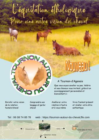 Stages et cours d'équitation éthologique lot et garonne