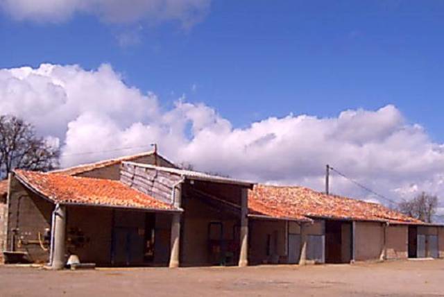 Pension chevaux/poneys proche poitiers