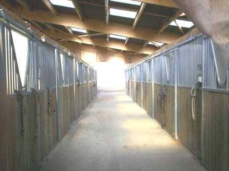 Pensions pour chevaux poneys a double t farm