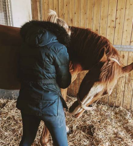 Monitrice d’équitation