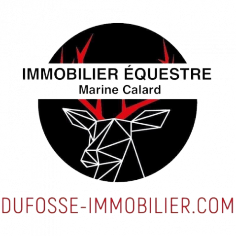 Marine calard immobilier equestre 