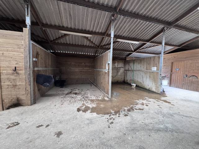 Les écuries clb sporthorses 