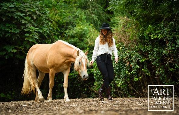 Devenir coach en émotions avec les chevaux — école aae