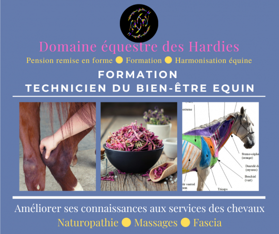 Formation technicien du bien-être équin