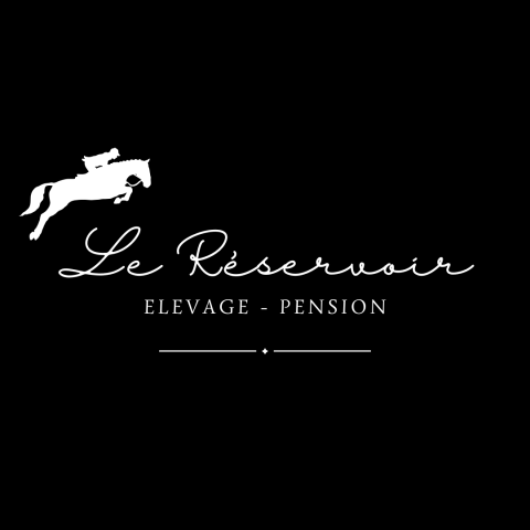 Pension pré chez éleveur à sandrans (01)