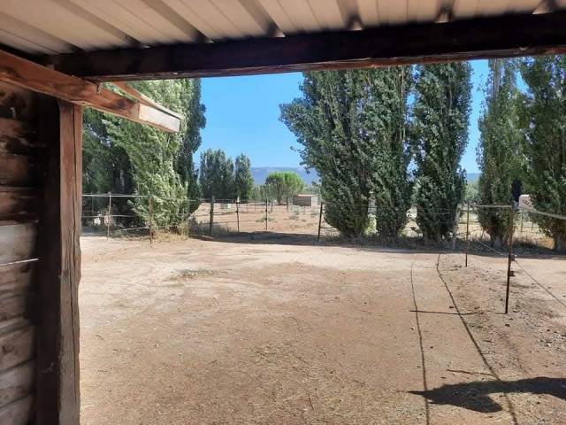 Ecurie de propriétaires/élevage chevaux de sport
