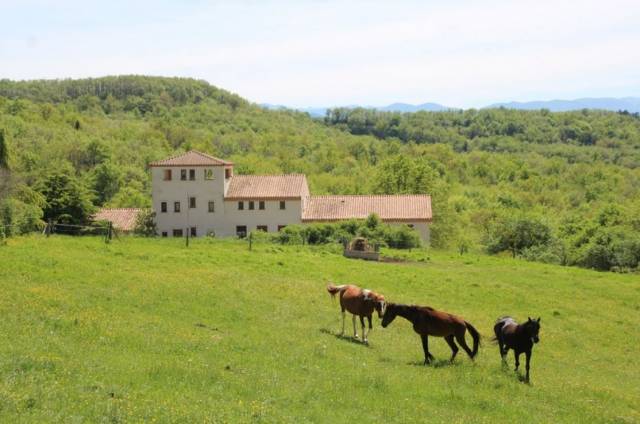 Propriete a vocation equestre sur 30 ha