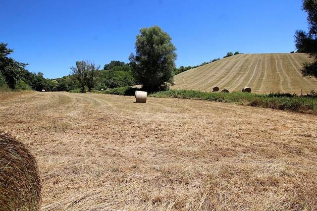 En ariege sur 4,57 ha propriete a vocation equestre