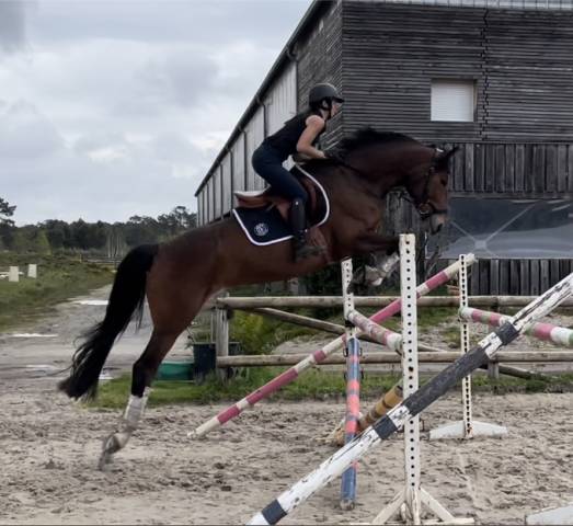 Débourrage / rééducation   cavalière / groom     77
