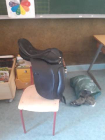 Selle dressage neuve