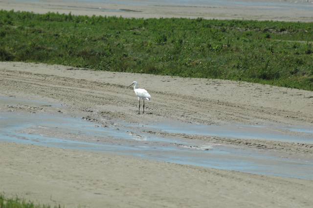 Maison vue sur baie de somme