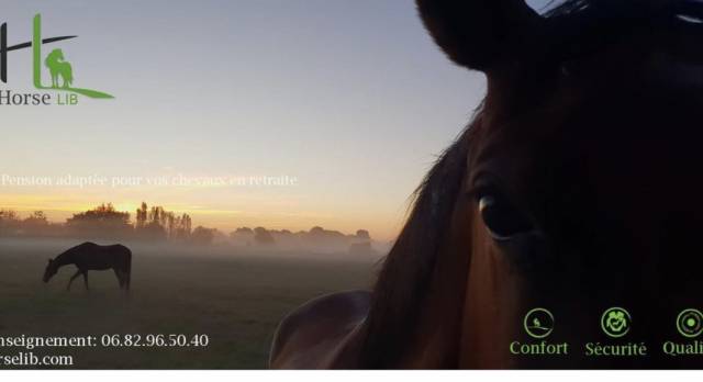 Pension retraite chevaux/poney - horse lib (44 - heric)