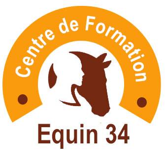 Cfa équin - formation en apprentissage