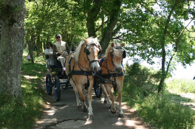 Les calèches de mégrit : promenades en calèche