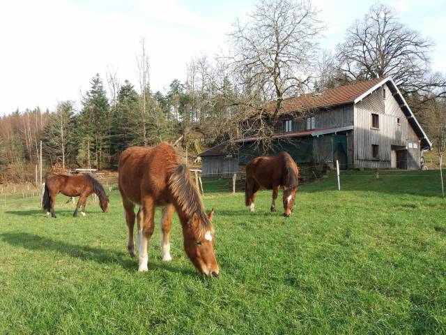 Gîte à la ferme aux moineaux