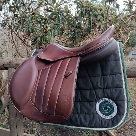 2022 forestier seoul semi-creuse