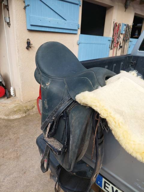 Selle wintec mixte