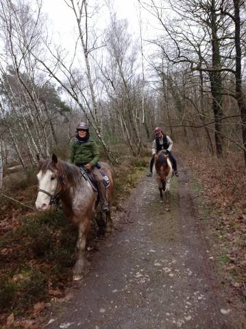 Balades et randonnées à cheval en essonne 