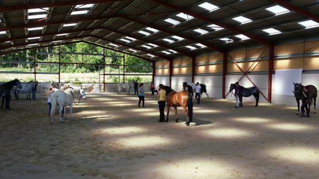 Pension - ecurie de propriétaires