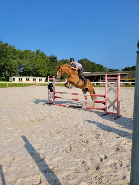 Deviens moniteur d’équitation avec ucpa formation