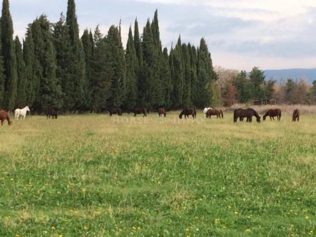 Domaine agricole de 21 hectares en provence