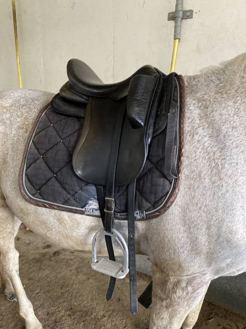 Selle dressage aulion 