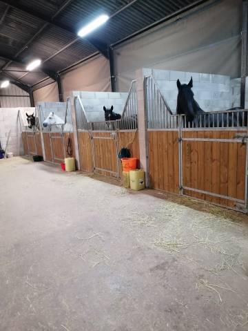 Pension chevaux 