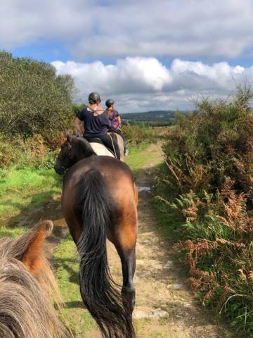 Balades et randonnées à cheval en bretagne