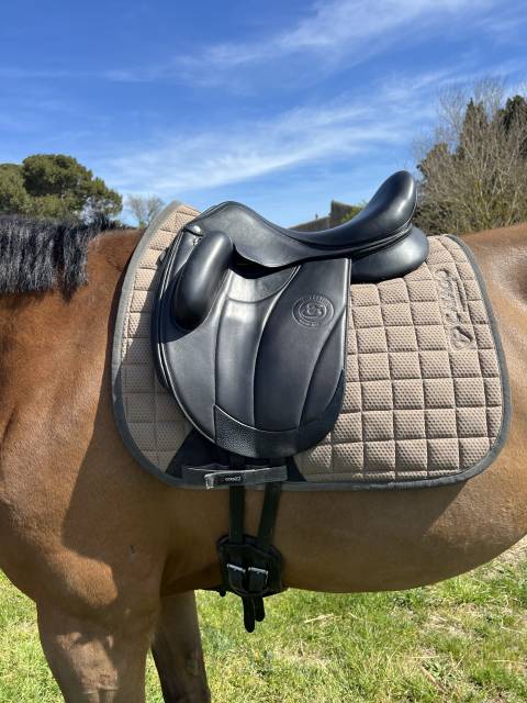 Selle dressage aachen 17