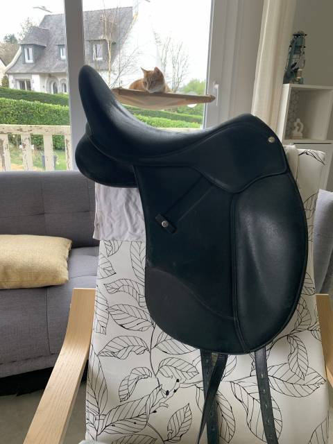 Wintec dressage isabelle werth hart 17,5