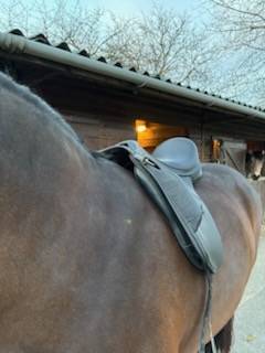 Selle dressage thorowgood