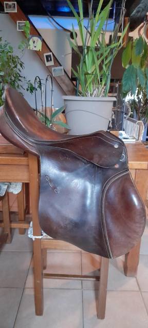 Selle passier papillon ii