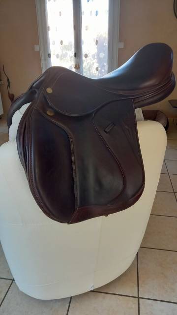 Selle equiline hunter
