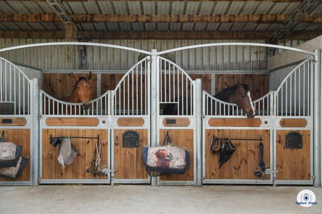 Pension, débourrage, valorisation et coaching