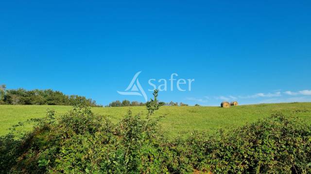 Proche nogaro - propriété de 44ha avec retenue d'eau