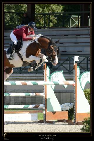 Jericho du lagon : saillie etalon pie jericho du lagon