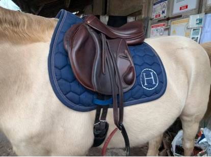 Selle darroze obstacle monoquartier cuir