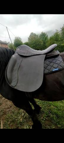 Selle norton cheval de trait 
