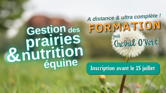 Formation : gestion des prairies et nutrition équine