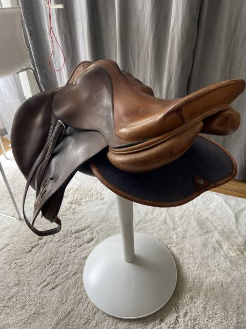 Selle mixte bruno delgrange partiton 17,5