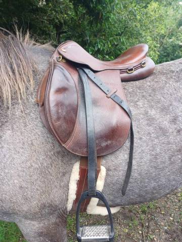 Selle mixte 16.5 pouces time rider