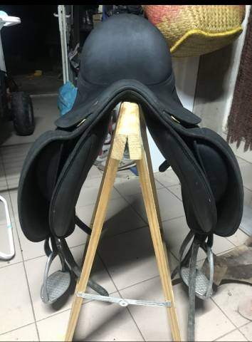 Selle wintec isabelle werth