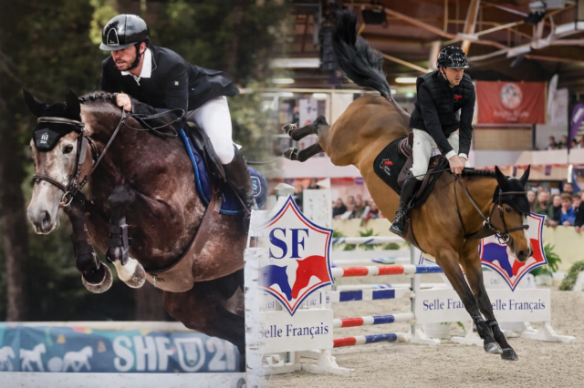 2 places dispo, pension boxe 