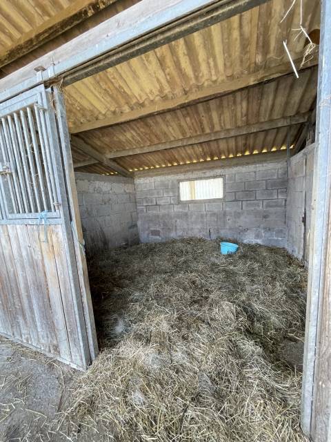 Pension cheval / poney 