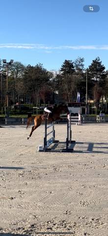 Pension ecurie cv jump - 78 maisons laffitte