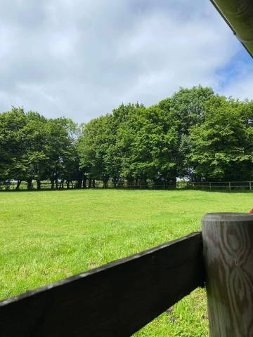 L'écurie d'alb - pension chevaux 76220 beauvoir-en-lyons