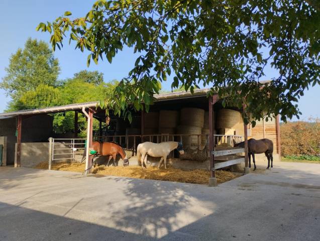Pension chevaux - le vallon des oréades