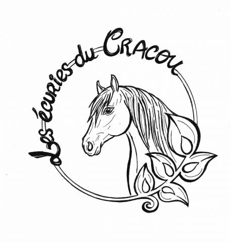 Pension box/paddock -  les écuries du cracou (27930 le vieil évreux)